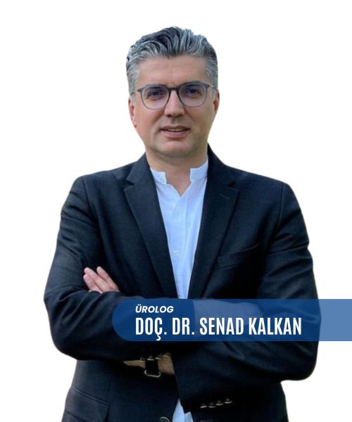 Ayfa Danışmanlık